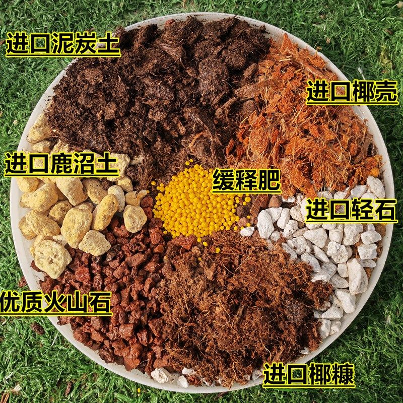 风信子专用土葡萄风信子种球土培营养土球根类植物盆栽种植土肥料,鲜花速递/花卉仿真/绿植园艺,介质/营养土,淘宝优惠券,粉丝福利购,淘宝优惠卷