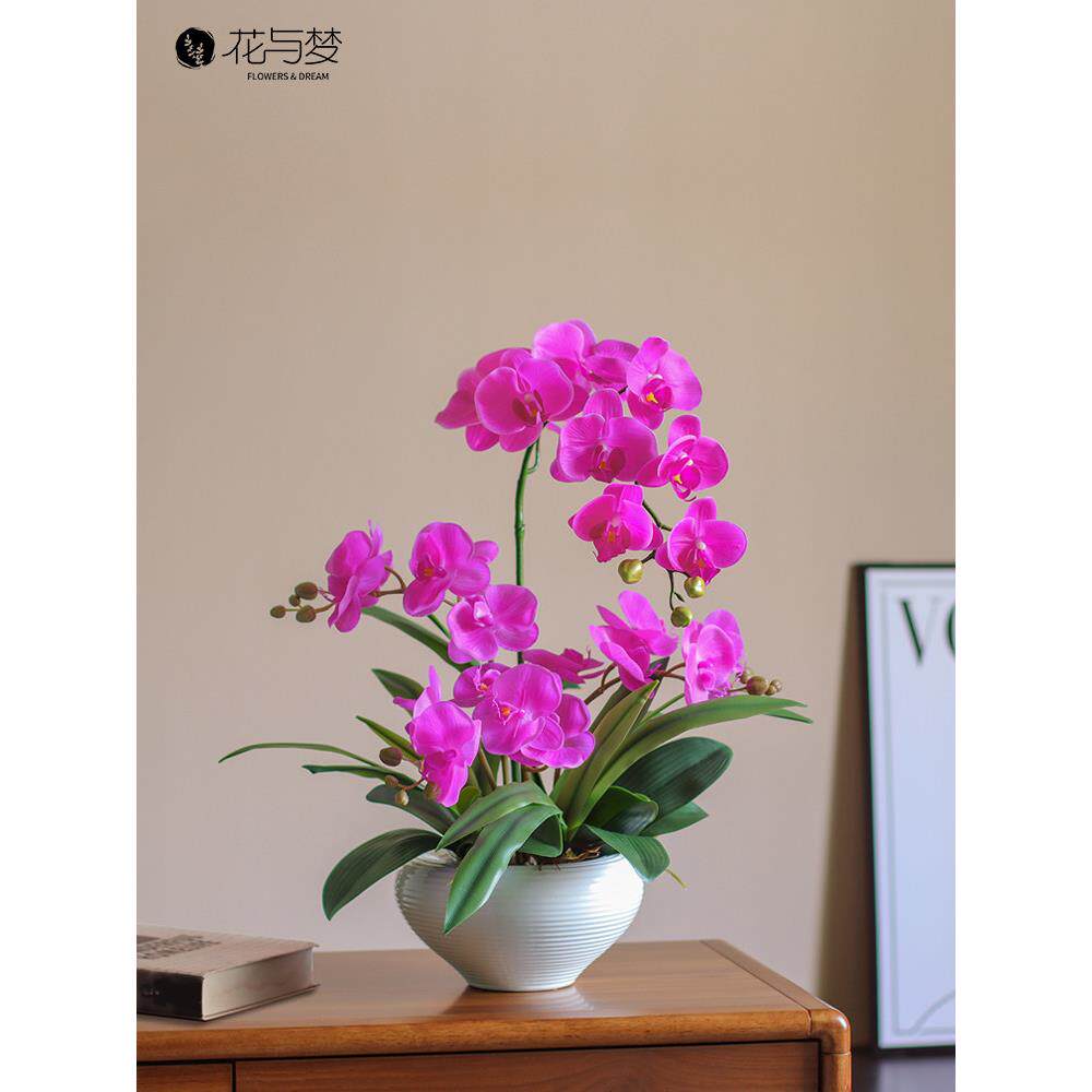 花与梦高端感受铺蝴蝶兰人造花客厅装饰餐厅饰品兰花假花艺术盆栽