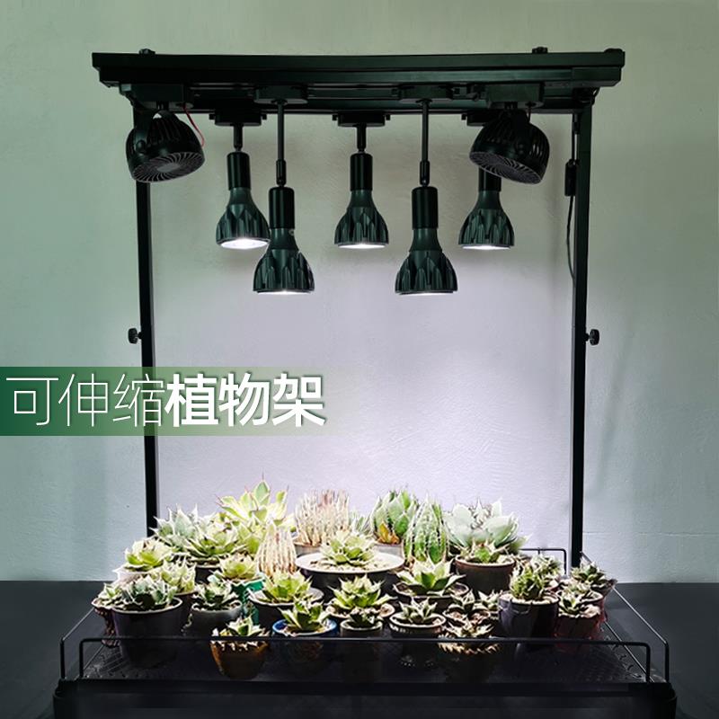 日式块根植物花架桌面绿植室内盆栽龙舌兰全光谱补光生长灯架子