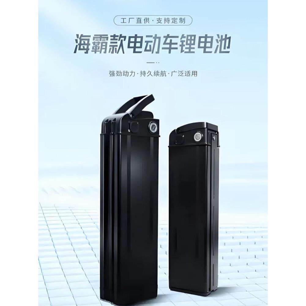 永久款48v20ah代驾专用电动车锂电池海霸款银鱼e14M321折叠车代驾