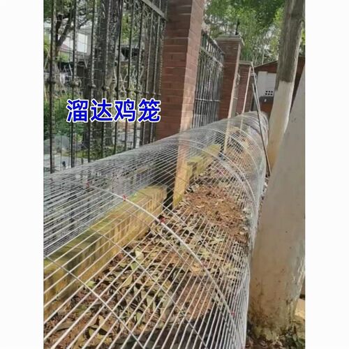 防锈镀锌铁丝网溜达鸡笼网鸽舍围网兔笼网鸡笼网兔笼网长孔铁丝网