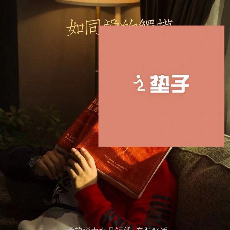 居家布艺靠枕抱枕装饰垫客厅沙发加厚海绵