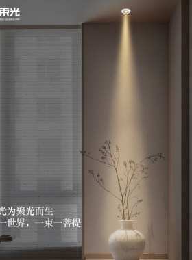 一束光聚光射灯超薄玄关电视柜餐边柜开放格摆件高级暗装开孔65mm