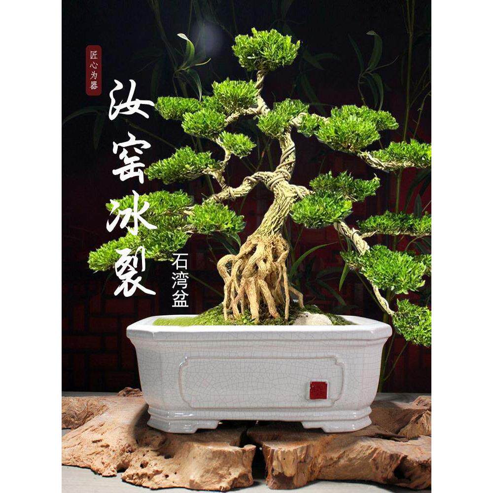 长方形大号绿色白色汝窑冰裂釉覆古陶瓷盆栽盆景花盆