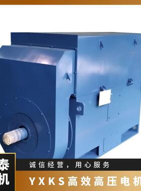 鸿泰高压三相异步电机tYXKS500L2-2t800KWt10KVt损耗低 耐久性好