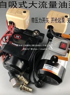 抽柴油泵大功率550W电动加油机抽柴油煤油 12伏24V220V家用自吸泵