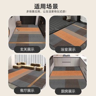 入户门地垫家用进门脚垫子硅藻泥耐脏大门口客厅玄关地毯轻奢吸水