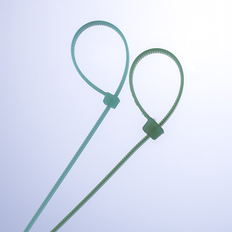 比克曼 塑料耐高温封口条卡扣固定绑带绳扣束紧带自锁式 根包