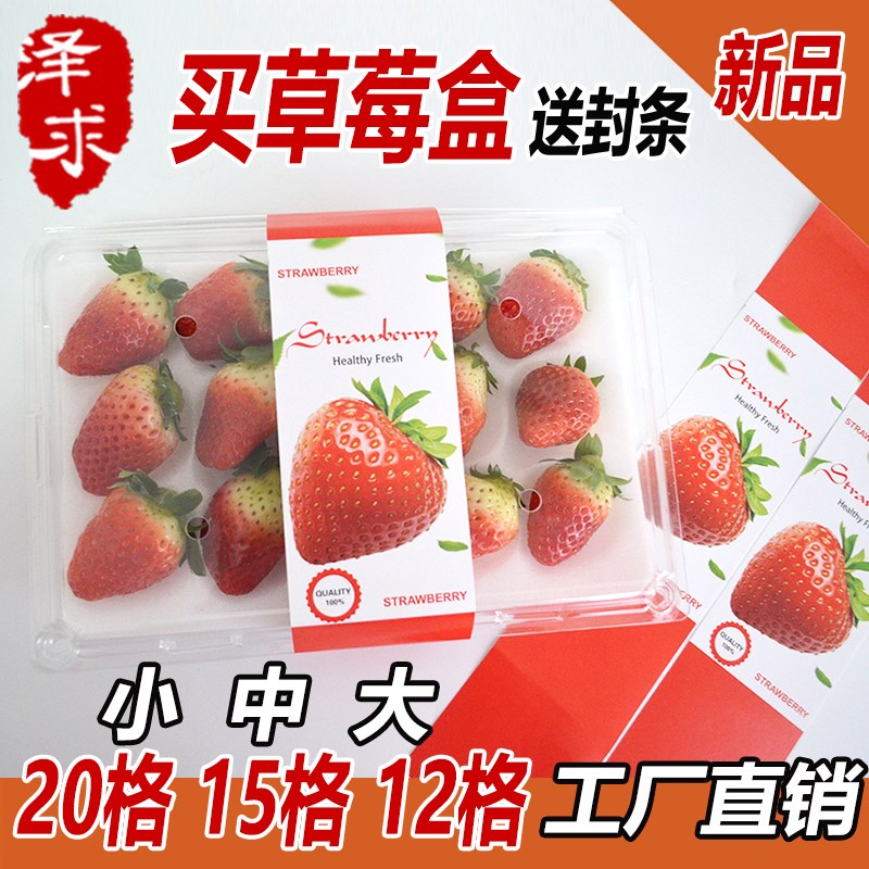 一次性快递草莓盒草莓包装盒子保鲜盘礼打包盒