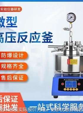 TGYF-B 实验室小型高压反应釜 不锈钢高温加热反应釜加氢反应釜