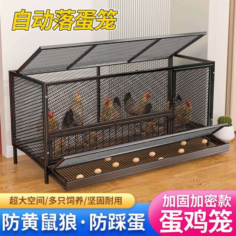 家用室内鸡笼出蛋鸡笼鸡舍自动出蛋鸽子笼防黄鼠狼加密网片特大号