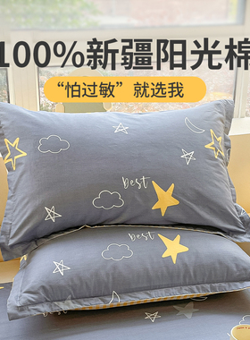 纯棉枕头套一对装家用100全棉枕套成人枕罩灰色枕芯内胆套学生男2