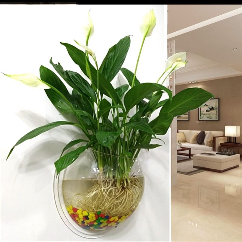 挂壁花架墙壁挂式室内挂墙花架子挂墙壁上的免打孔绿萝简约装饰品图片
