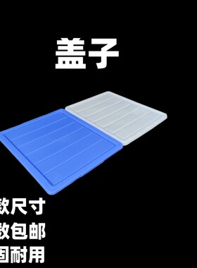 塑料箱盖周转箱盖子胶箱盖17号箱盖白色盖子 3号盖子盖板蓝色盖子