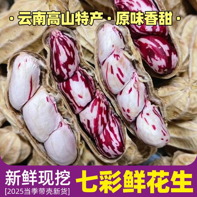 云南七彩花生 水果生花生 1斤/2斤/3斤 当季种植
