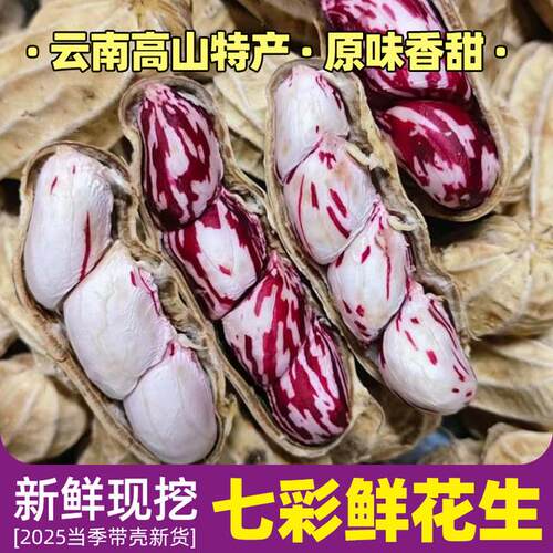 云南七彩花生 水果生花生 1斤/2斤/3斤 当季种植
