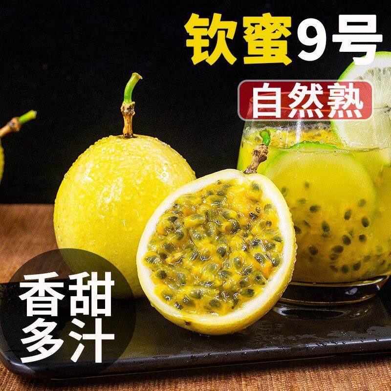 纯香果广西钦蜜黄金百香果大果新鲜孕妇水果西番莲采摘vc鲜甜