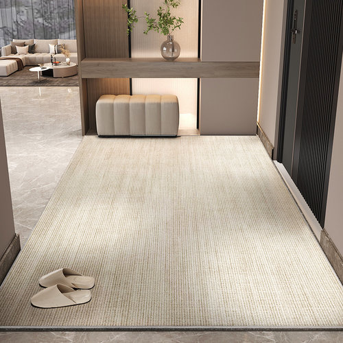 别墅入户门地垫2024新款高级感进门口换鞋区防滑脚垫耐脏玄关地毯