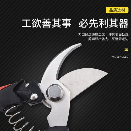 不锈钢树枝修枝剪花木剪园林果树花卉枝嫁接采摘水果园艺剪刀工具