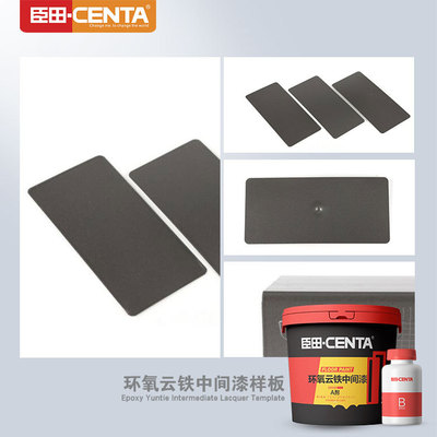 环氧云铁中间漆 厚浆防锈漆 灰色 金属涂料 云母氧化铁工业防腐漆