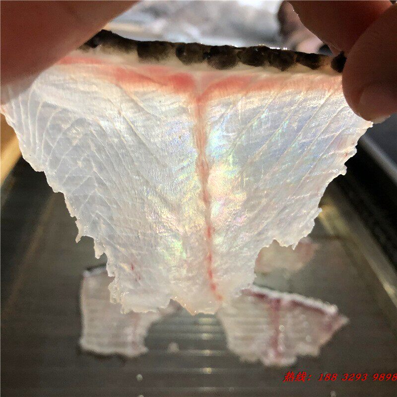 新商用全自动斜切鱼片机 小型黑鱼草鱼巴沙鱼切片机  肉类鱼片,清洗/食品/商业设备,切鱼机/鱼片机/杀鱼机,淘宝优惠券,粉丝福利购,淘宝优惠卷