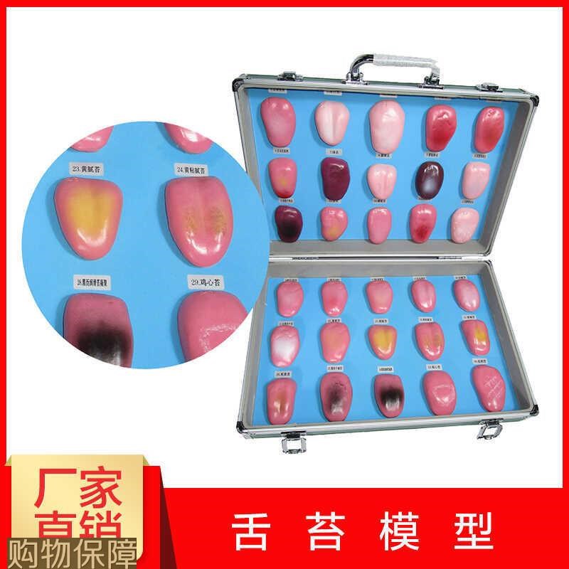 人体舌头舌苔模型常见病舌w苔病变比较中医口腔望诊教学解剖模型