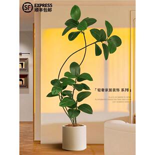 高端无障碍豪华橡胶树模拟绿色植物客厅盆栽室内彷生植物假树地板