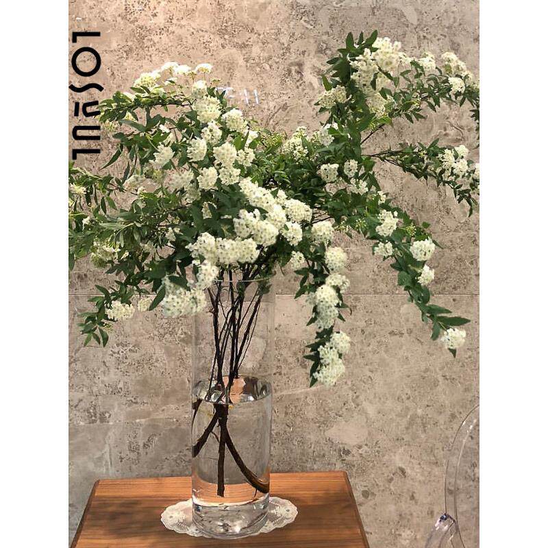 小手球鲜切花雪柳带花苞单瓣真花鲜枝氛围室内水培喷雪花客厅桌面