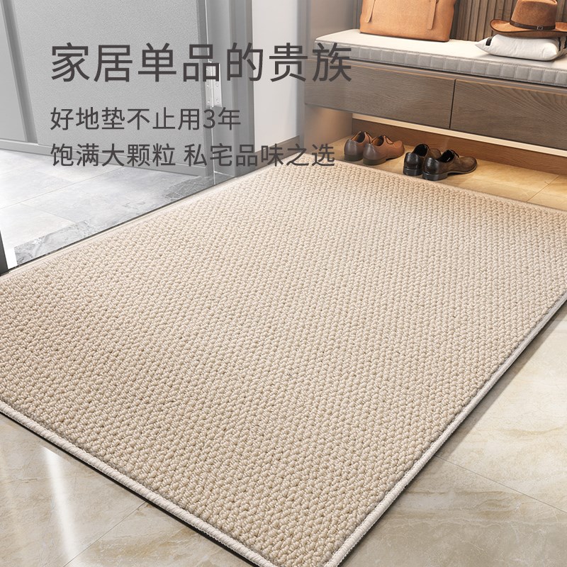 入户地垫进门门口脚垫高级家用客厅卧室地毯门外耐脏入门玄关门垫