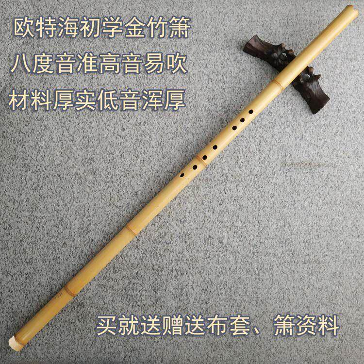 金竹洞箫欧特海一节短箫学生萧六八孔初学紫竹素箫乐器包邮送资料