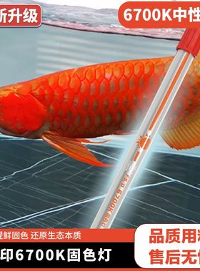 马印鱼缸灯nec6700k龙鱼专用发色灯T5灯管金红龙灯2700k烤色灯