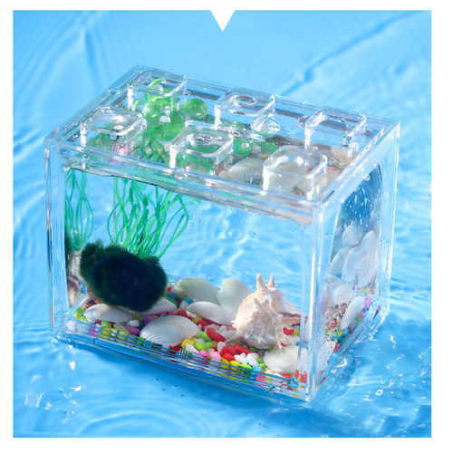 鱼缸小型客厅装饰造景生态超白桌面布景裸缸迷你斗鱼金鱼缸水族箱