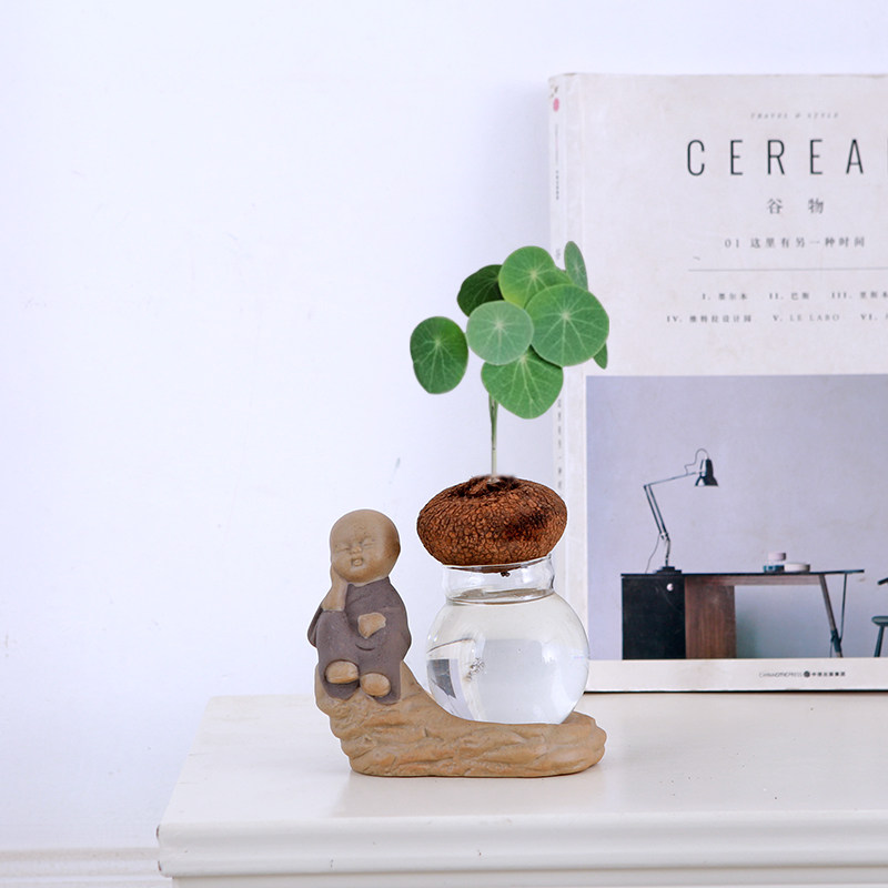 水培植物山乌龟金不换植物室内桌面圆叶盆栽懒人爬藤观叶造景多肉,鲜花速递/花卉仿真/绿植园艺,绿植,淘宝优惠券,粉丝福利购,淘宝优惠卷