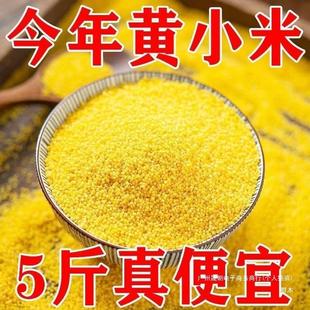 斤黄小米新米新鲜食用农家米五谷杂粮小米煮粥小米粥5坐月子群木