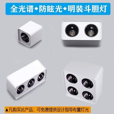 全光谱防眩明装斗胆灯双头家用无主灯客厅餐厅四头白色斗胆灯三头