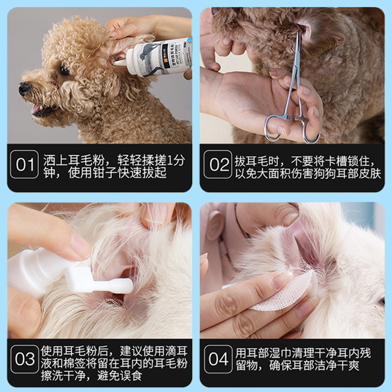 拔耳毛钳狗耳朵拔毛神器泰迪猫咪止血钳子宠物狗狗耳朵清洁用品,宠物/宠物食品及用品,耳部清洁,淘宝优惠券,粉丝福利购,淘宝优惠卷