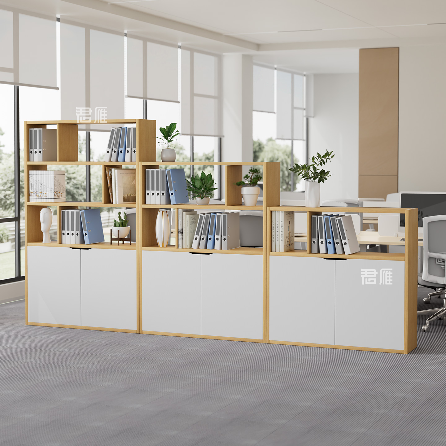 木质办公室隔断柜文件柜双面书柜资料柜矮柜储物柜简约展示柜落地,商业/办公家具,办公储物柜,淘宝优惠券,粉丝福利购,淘宝优惠卷