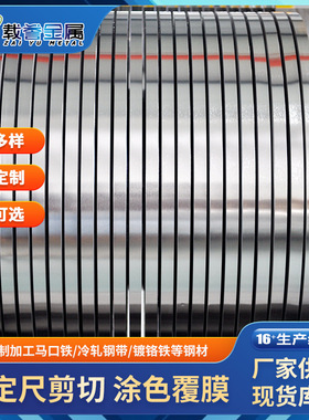 厂家 宝钢马口铁金属机械镀锌板镀铬板钢带马口铁镀锡板卷现货