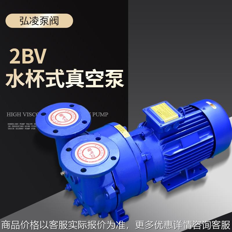 2BV水环式真空泵 SKA真空泵 不锈钢防爆水环真空泵