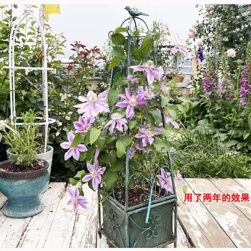 铁艺美式创意花园绿植物牵牛花铁线莲月季爬藤架网格栅栏花盆花器