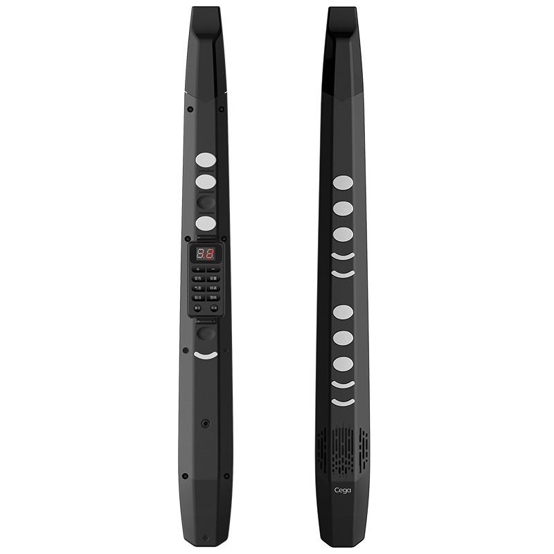 前谷cega电子吹管初学迷你笛子专业演奏级乐器大全初学入门萨克斯