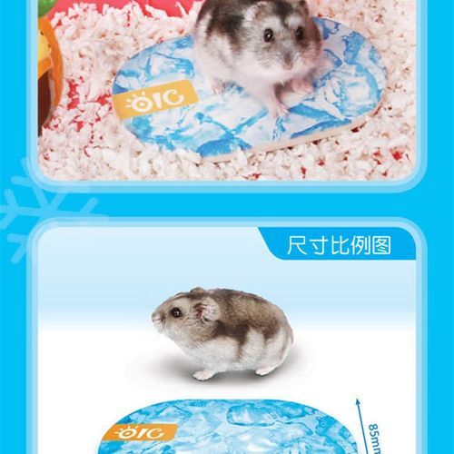 包邮 冰凉魔板仓鼠散热板西施熊消暑降温冰板