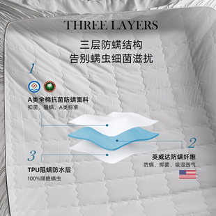 斯得福防螨床笠全棉夏季 单件纯棉床套 防水床垫保护罩床罩2023新款