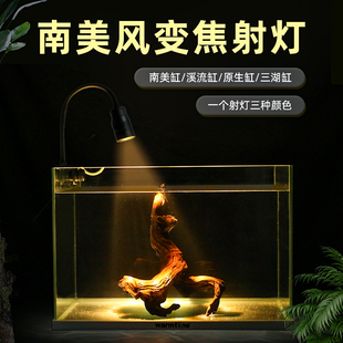 鱼缸射灯变焦灯南美造景专用小型水草灯防水夹灯LED雷龙照明灯具