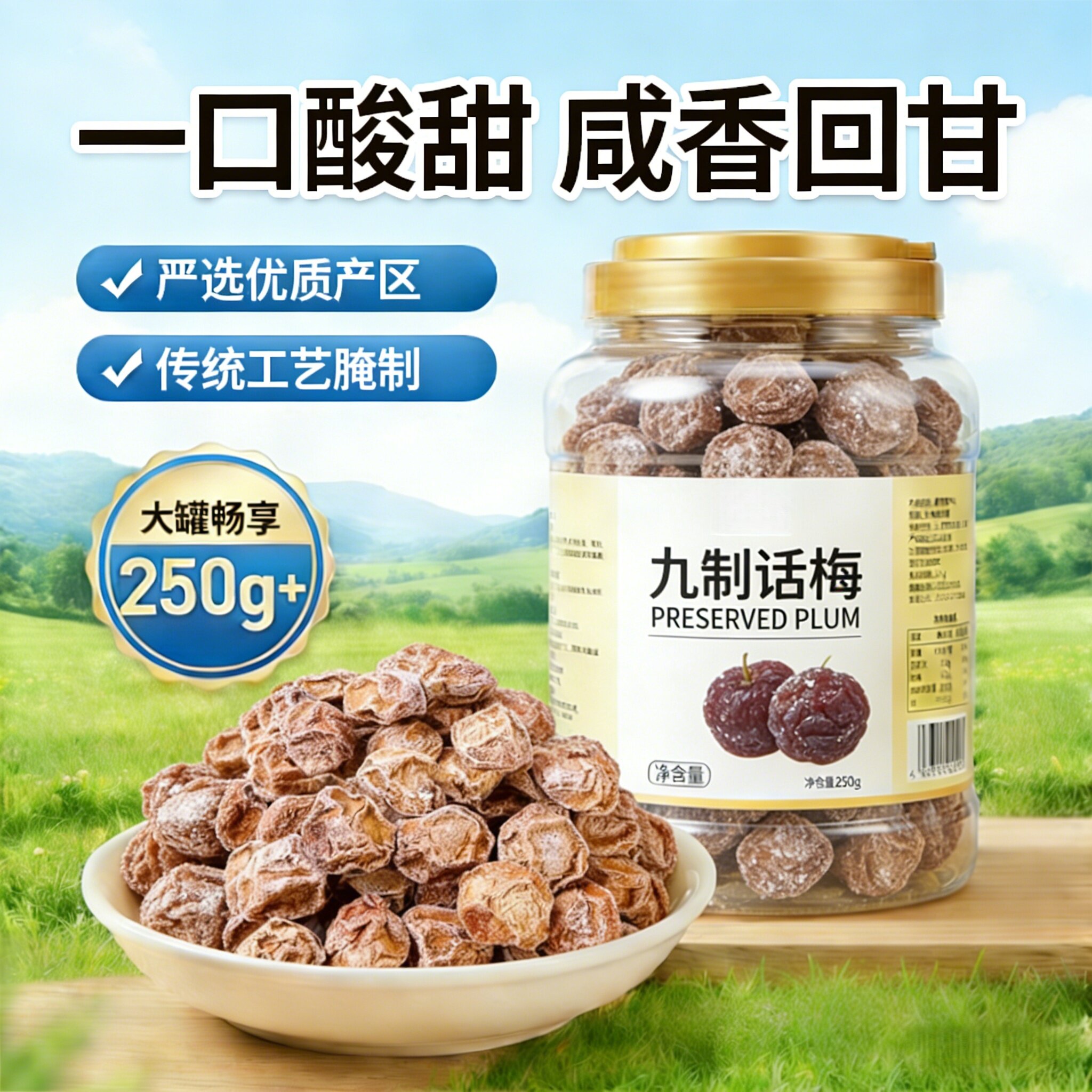 农科院特级话梅正宗九制话梅皇官方旗舰店孕妇酸零食干咸泡水广东