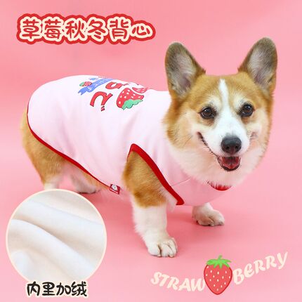 宠物狗狗衣服背心秋季加绒保暖柯基泰迪法斗小型犬2024新款秋冬款