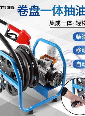 电动抽油泵柴油12v24vv220v伏加油机车载小型加油泵油器设备