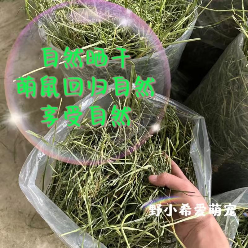 头茬仓鼠天然垫料提摩西草金丝熊磨牙牧草饲料粮宠物笼子造景用品
