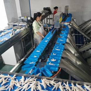 鸡爪分选机多功能自动分级机鲅鱼分拣机转盘式鱿鱼重量分级机