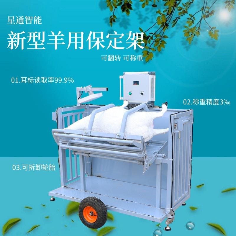 牧场可移动翻转羊固定架剪毛修蹄自动记录智能化养殖管理